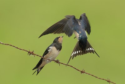 BUITEN BEELD Foto: 12809