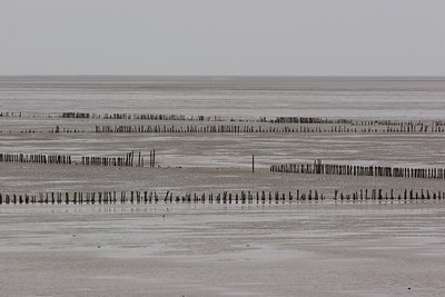 BUITEN BEELD Foto: 12842