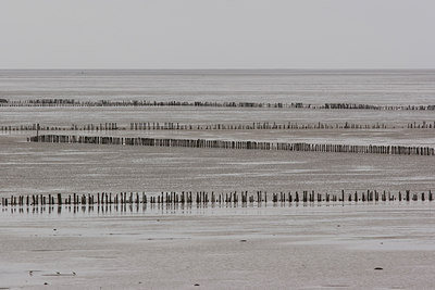 BUITEN BEELD Foto: 12843