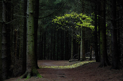 BUITEN BEELD Foto: 12907