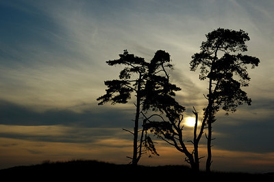 BUITEN BEELD Foto: 12908