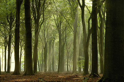 BUITEN BEELD Foto: 12909