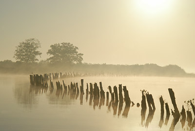 BUITEN BEELD Foto: 12961