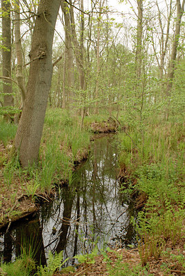 BUITEN BEELD Foto: 12963