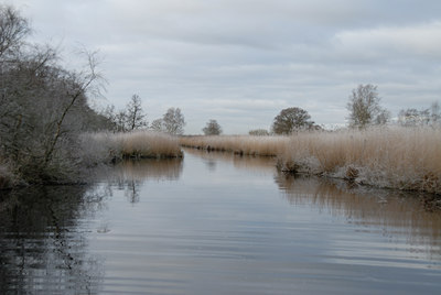 BUITEN BEELD Foto: 12988