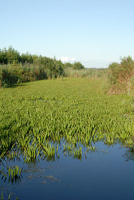 BUITEN BEELD Foto: 12989