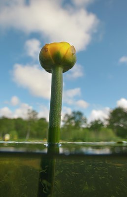 BUITEN BEELD Foto: 129049