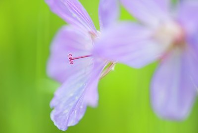 BUITEN BEELD Foto: 129051