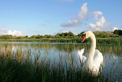 BUITEN BEELD Foto: 129062