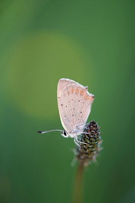 BUITEN BEELD Foto: 129094