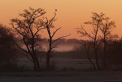 BUITEN BEELD Foto: 129127