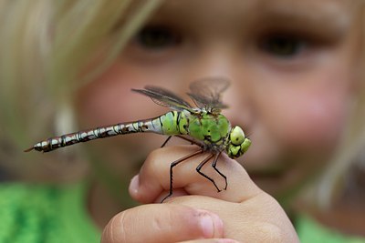 BUITEN BEELD Foto: 129158