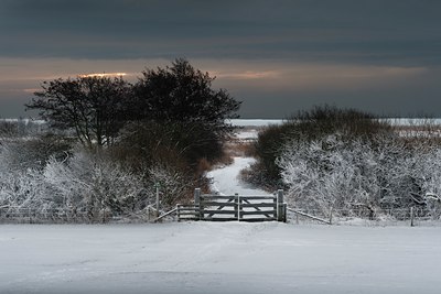 BUITEN BEELD Foto: 129166