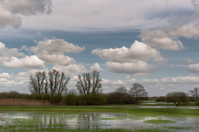 BUITEN BEELD Foto: 129175