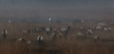 BUITEN BEELD Foto: 129254