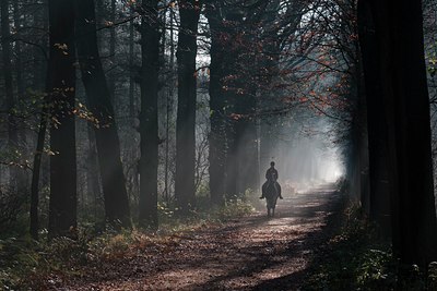 BUITEN BEELD Foto: 129260