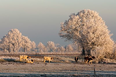 BUITEN BEELD Foto: 129263