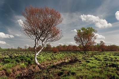 BUITEN BEELD Foto: 129267