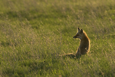 BUITEN BEELD Foto: 129280