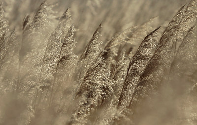 BUITEN BEELD Foto: 129333