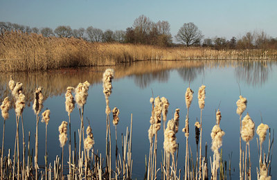 BUITEN BEELD Foto: 129336