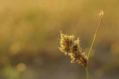 BUITEN BEELD Foto: 129402