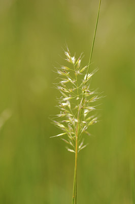 BUITEN BEELD Foto: 129433