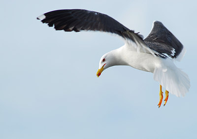 BUITEN BEELD Foto: 129473