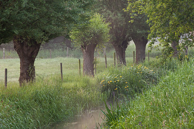 BUITEN BEELD Foto: 129492