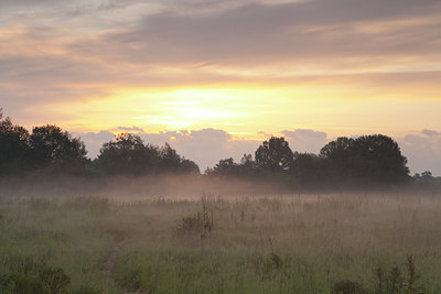 BUITEN BEELD Foto: 129495