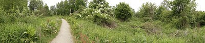 BUITEN BEELD Foto: 129511