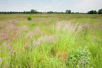 BUITEN BEELD Foto: 129525