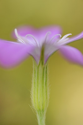 BUITEN BEELD Foto: 129554