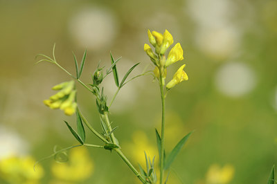 BUITEN BEELD Foto: 129555