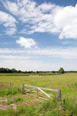 BUITEN BEELD Foto: 129581
