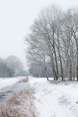 BUITEN BEELD Foto: 129589