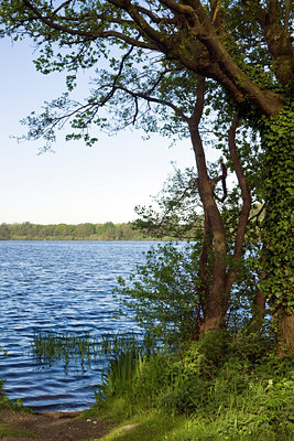 BUITEN BEELD Foto: 129622