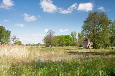 BUITEN BEELD Foto: 129628