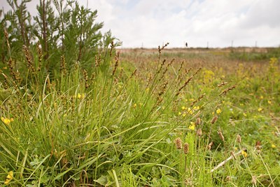 BUITEN BEELD Foto: 129671