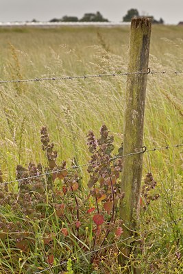 BUITEN BEELD Foto: 129674