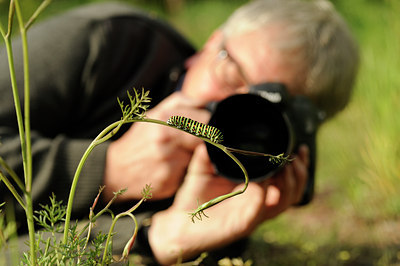 BUITEN BEELD Foto: 129719