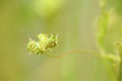 BUITEN BEELD Foto: 129725