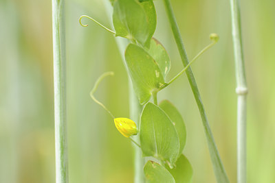 BUITEN BEELD Foto: 129730