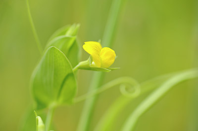 BUITEN BEELD Foto: 129731