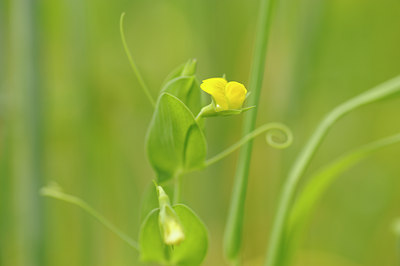 BUITEN BEELD Foto: 129739