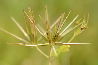 BUITEN BEELD Foto: 129745