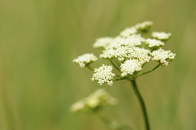 BUITEN BEELD Foto: 129759