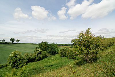 BUITEN BEELD Foto: 129769