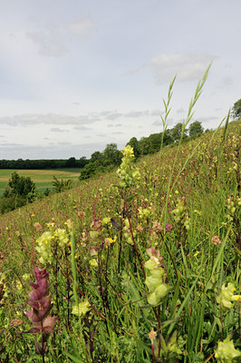 BUITEN BEELD Foto: 129772