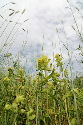 BUITEN BEELD Foto: 129779